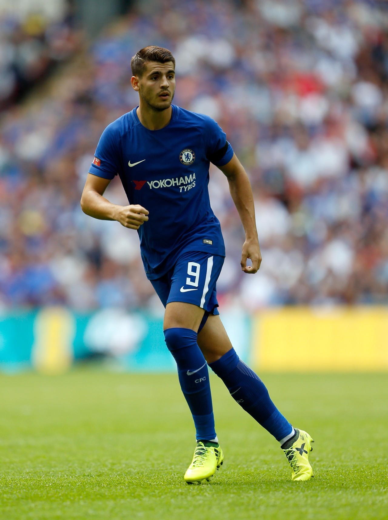 [路演]启迪环境：新型生物质颗粒机具备良好的市场前景和经济效益